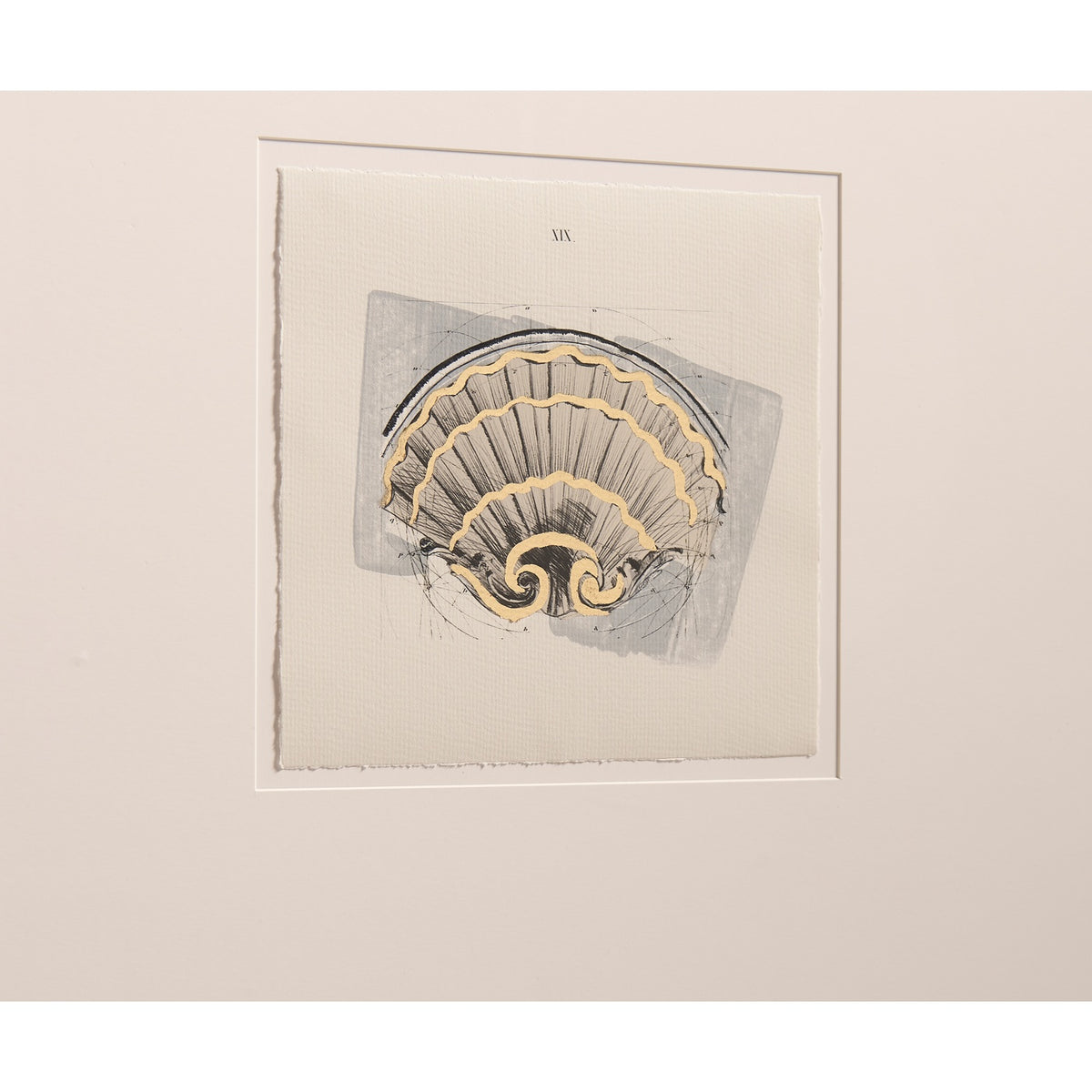 Architectural Clamshells Framed Prints - Set of 4