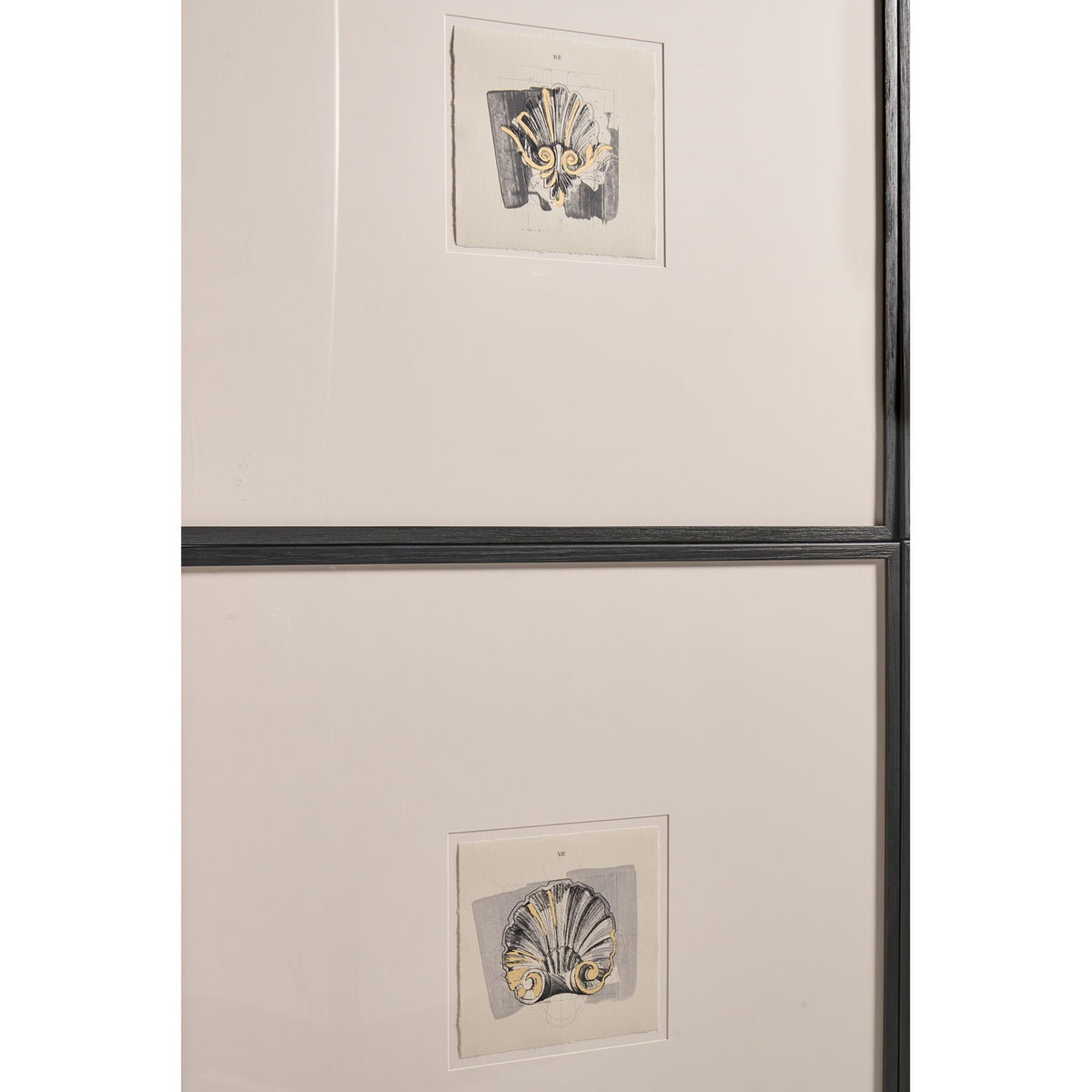 Architectural Clamshells Framed Prints - Set of 4