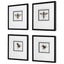 Anthophila Framed Prints, S/4