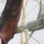 Burgundy Interjection Abstract Prints, Set/2