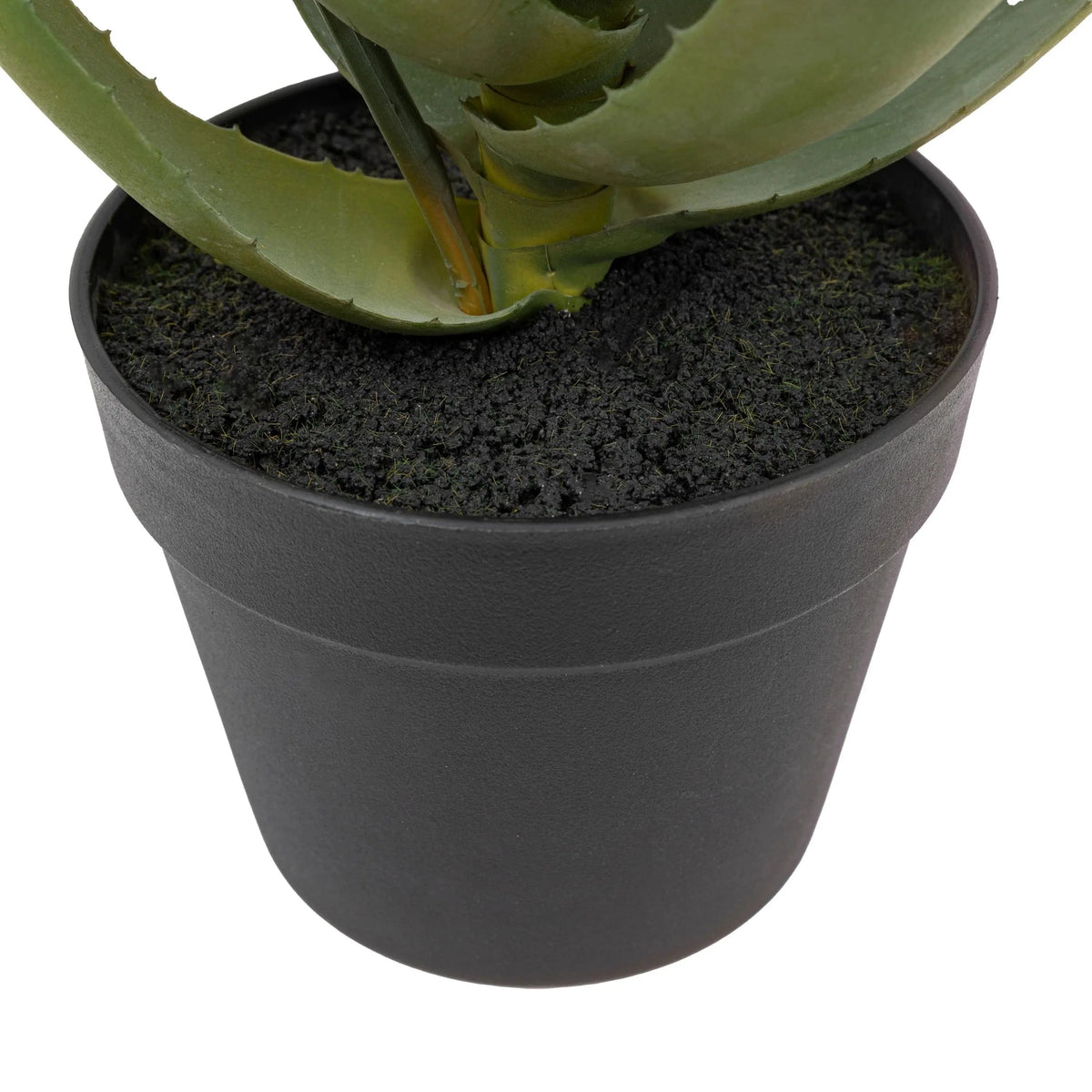 Bodhi Accessories Aloe Potted Plant with Orange Flower House of Isabella UK
