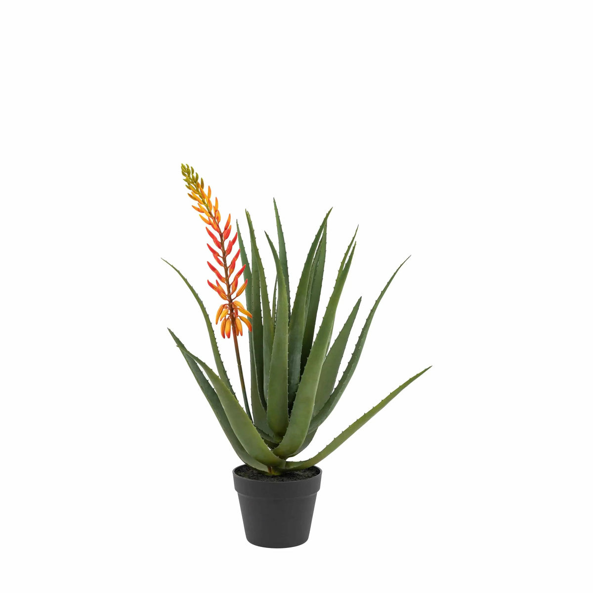 Bodhi Accessories Aloe Potted Plant with Orange Flower House of Isabella UK