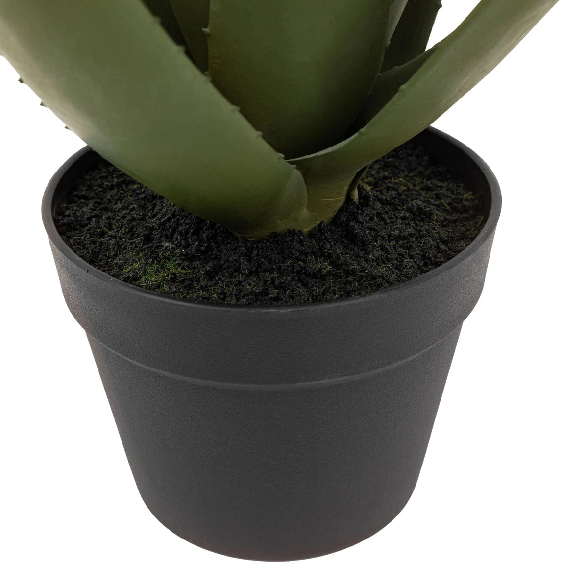 Bodhi Accessories Aloe Potted Plant with White Flower House of Isabella UK