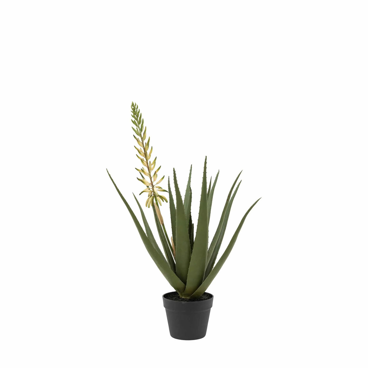 Bodhi Accessories Aloe Potted Plant with White Flower House of Isabella UK