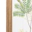 Bodhi Accessories Assorted Ferns Framed Art Set of 4 House of Isabella UK