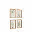Bodhi Accessories Assorted Ferns Framed Art Set of 4 House of Isabella UK