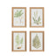 Bodhi Accessories Assorted Ferns Framed Art Set of 4 House of Isabella UK