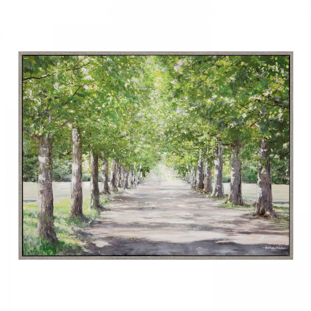 Bodhi Accessories Avenue of Trees Framed Canvas House of Isabella UK