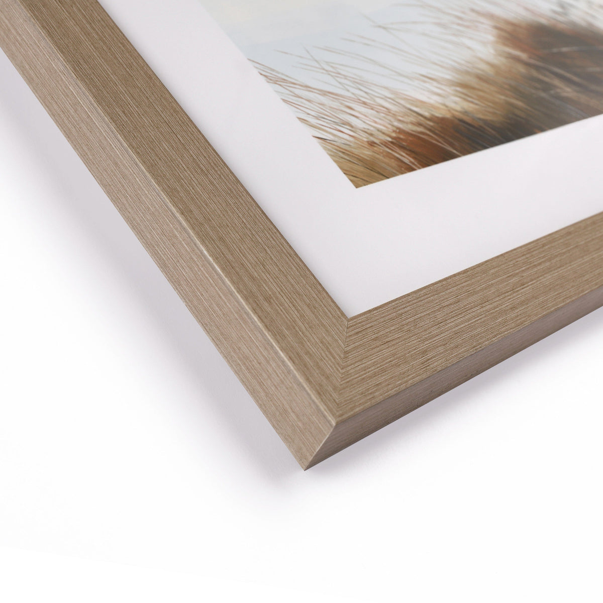 Bodhi Accessories Beyond the Dunes Framed Art House of Isabella UK