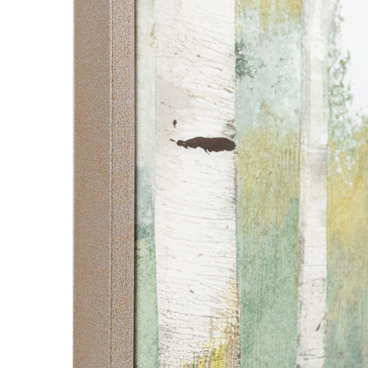 Bodhi Accessories Birch and Bloom Framed Canvas House of Isabella UK