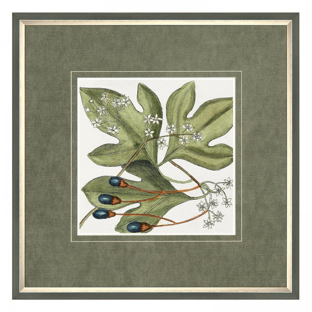 Bodhi Accessories Botanical Beauty Framed Art House of Isabella UK