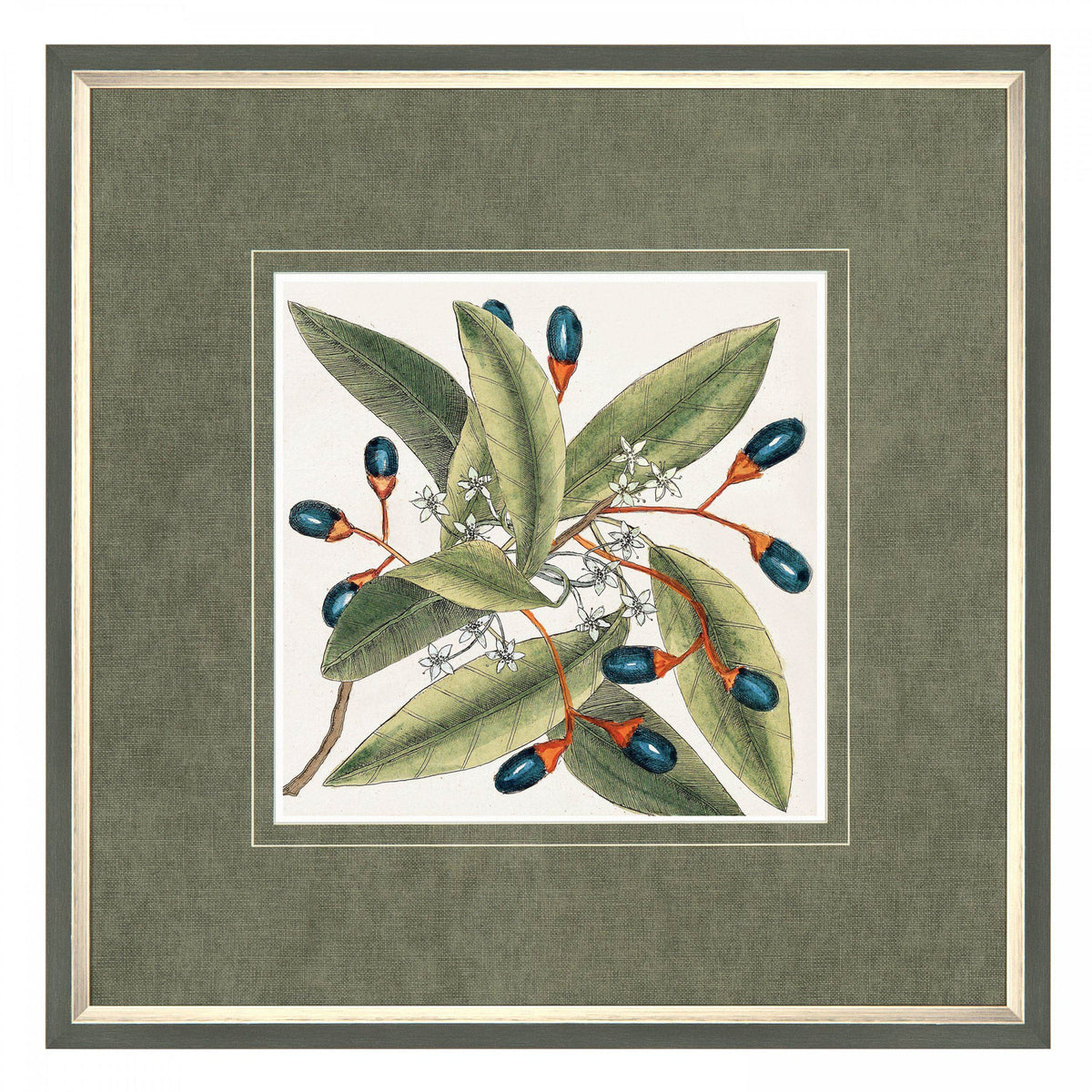Bodhi Accessories Botanical Style Framed Art House of Isabella UK