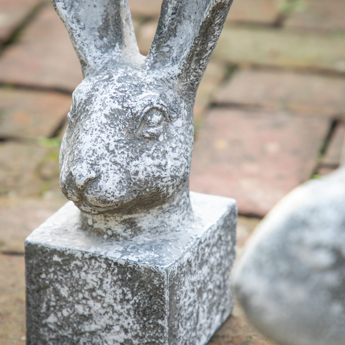 Cinderford Hare - Small.