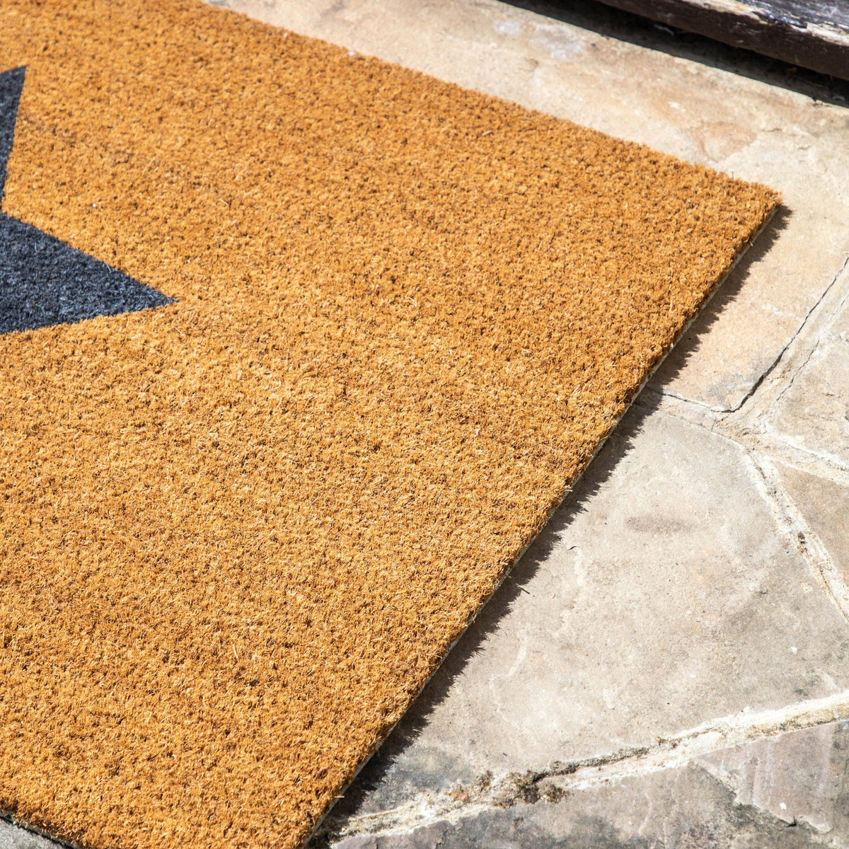 Colburn Ringo Coir Doormat.
