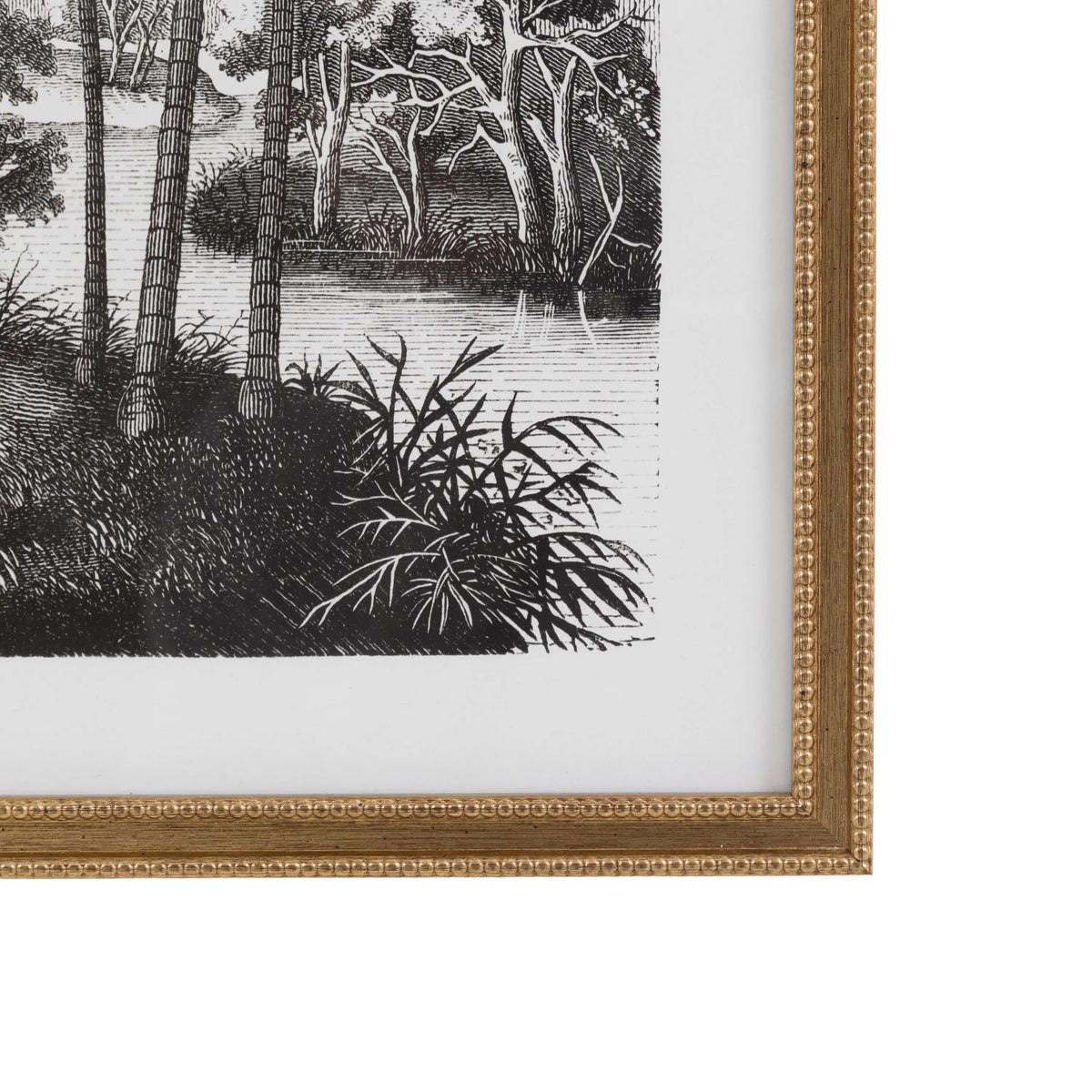 Bodhi Accessories Colonial Sketches Framed Art Set of 2 House of Isabella UK