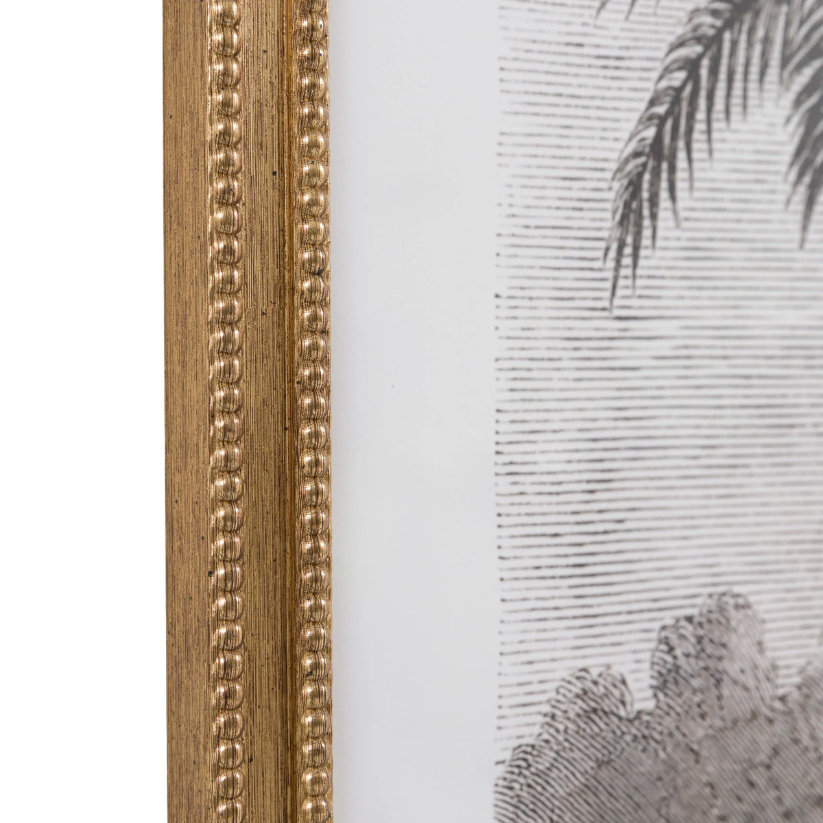 Bodhi Accessories Colonial Sketches Framed Art Set of 2 House of Isabella UK