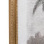 Bodhi Accessories Colonial Sketches Framed Art Set of 2 House of Isabella UK