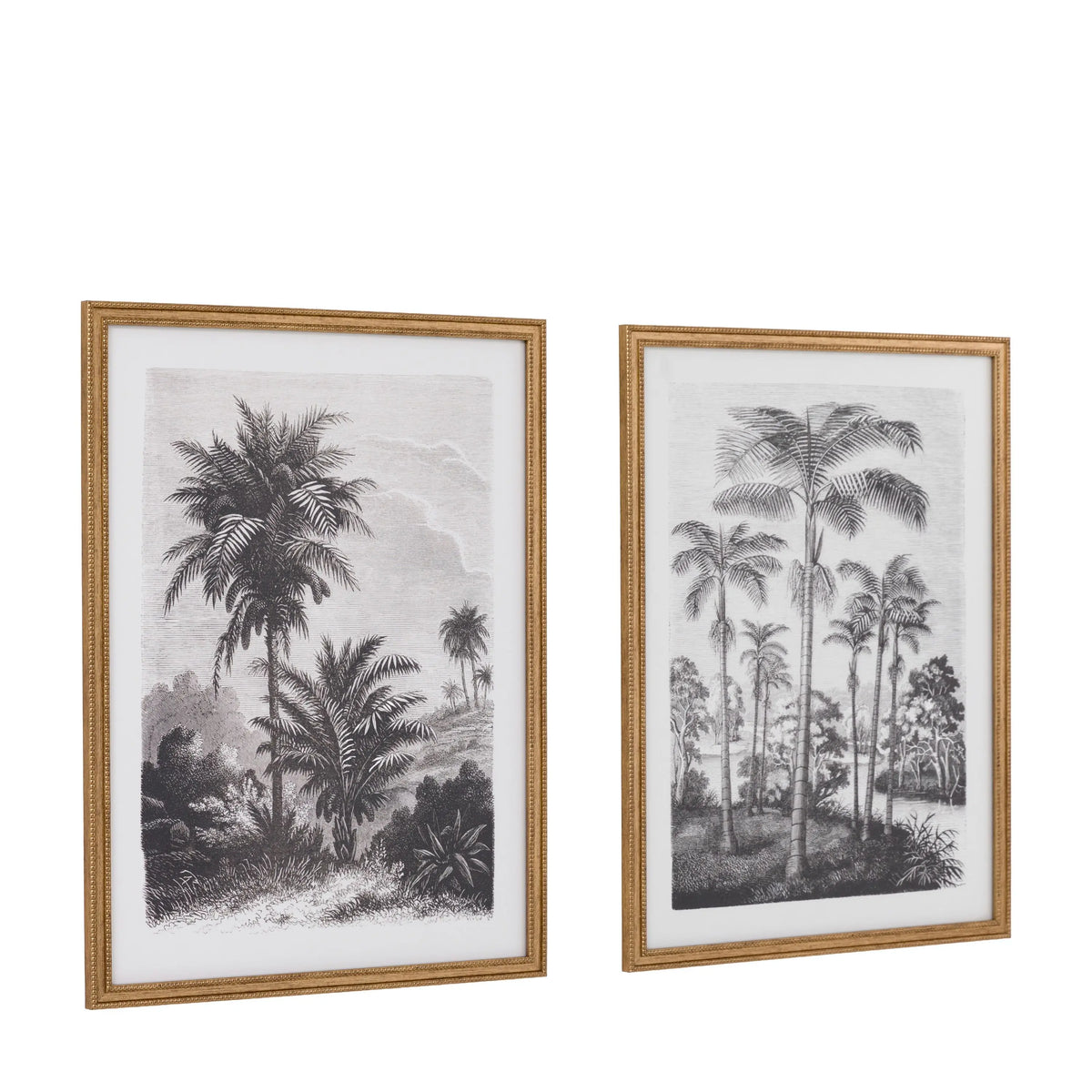 Bodhi Accessories Colonial Sketches Framed Art Set of 2 House of Isabella UK