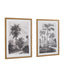 Bodhi Accessories Colonial Sketches Framed Art Set of 2 House of Isabella UK