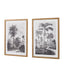 Bodhi Accessories Colonial Sketches Framed Art Set of 2 House of Isabella UK