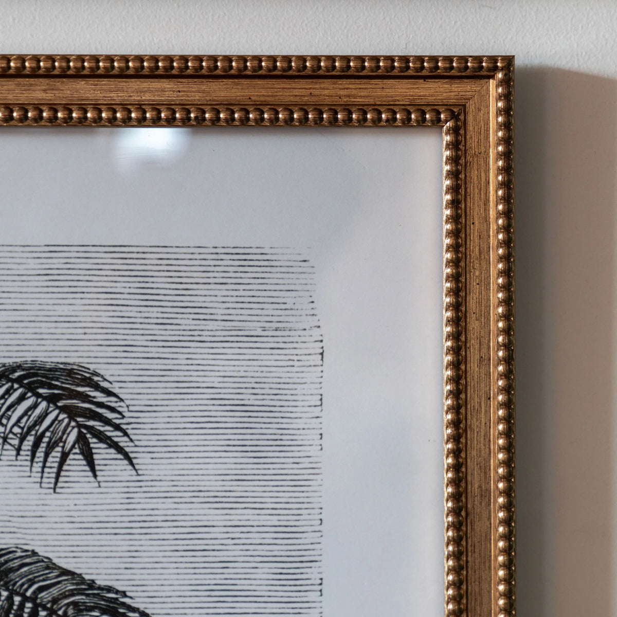 Bodhi Accessories Colonial Sketches Framed Art Set of 2 House of Isabella UK