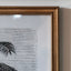 Bodhi Accessories Colonial Sketches Framed Art Set of 2 House of Isabella UK