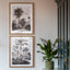 Bodhi Accessories Colonial Sketches Framed Art Set of 2 House of Isabella UK
