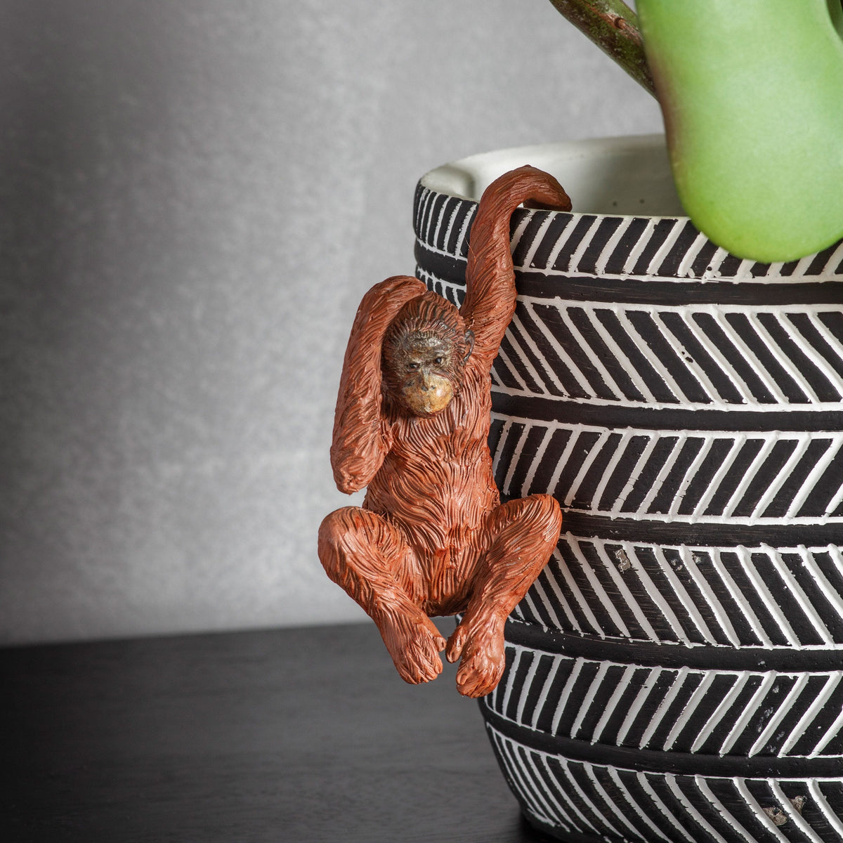 Crumplehorn Orangutan Pot Hanger (2pk).