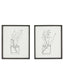 Bodhi Accessories Delicate Nature Framed Art Set of 2 House of Isabella UK