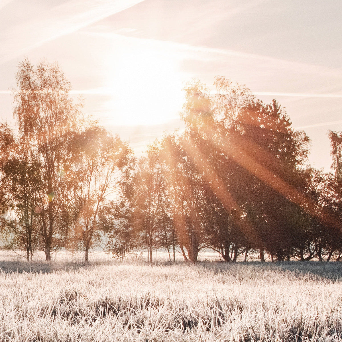 Bodhi Accessories Early Sunrise House of Isabella UK