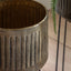 Bodhi Accessories Elda Planters Gold Set of 2 House of Isabella UK