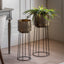 Bodhi Accessories Elda Planters Gold Set of 2 House of Isabella UK