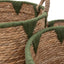 Bodhi Accessories Elgon Baskets Natural & Green Set of 3 House of Isabella UK