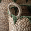 Bodhi Accessories Elgon Baskets Natural & Green Set of 3 House of Isabella UK