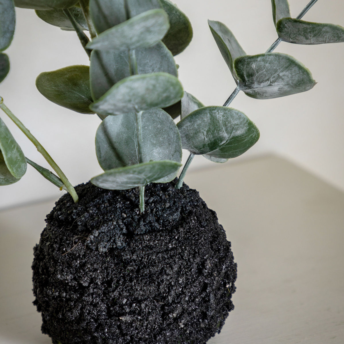 Erica Eucalyptus in Soil - Dusty Green.