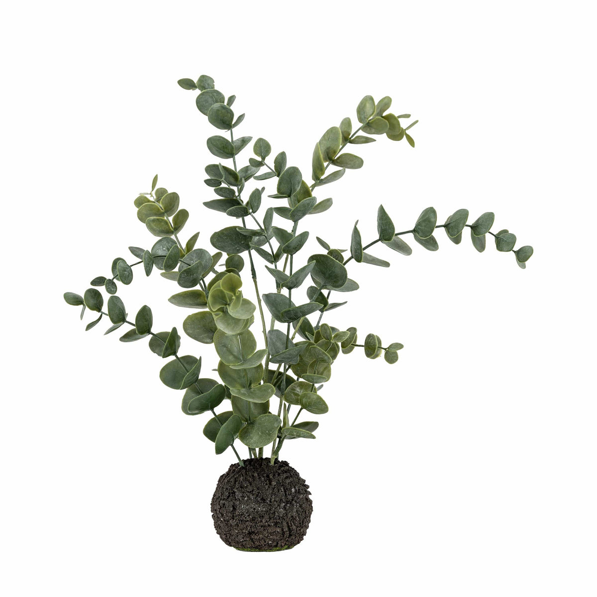 Erica Eucalyptus in Soil - Dusty Green.