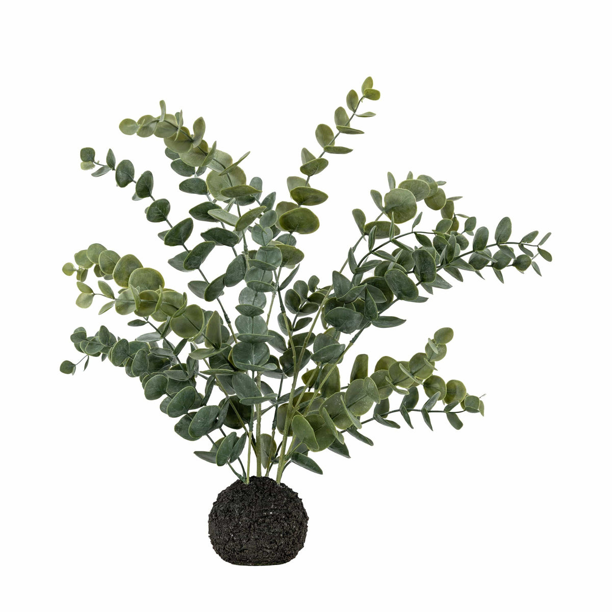 Erica Eucalyptus in Soil - Green/Grey.