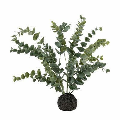 Bodhi Accessories Erica Eucalyptus in Soil - Green/Grey House of Isabella UK