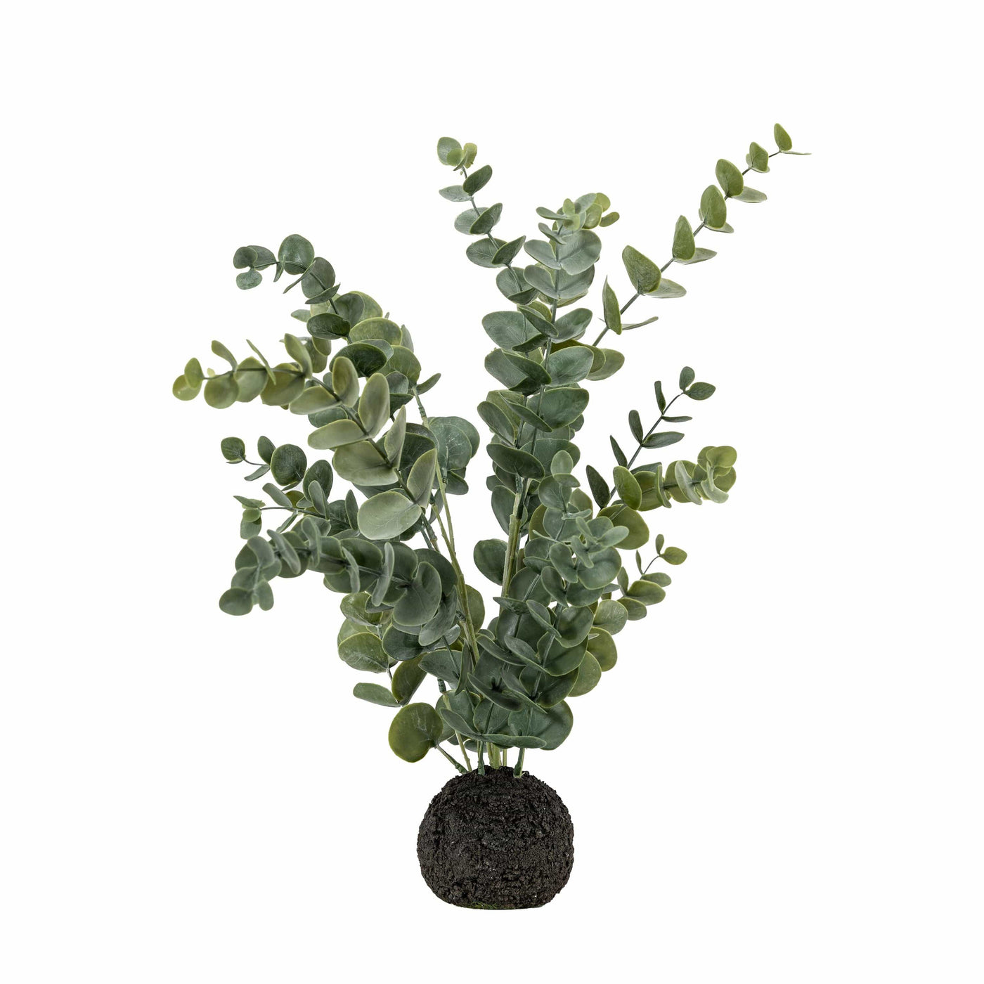 Bodhi Accessories Erica Eucalyptus in Soil - Green/Grey House of Isabella UK