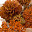 Bodhi Accessories Eucalyptus Autumnal Bouquet House of Isabella UK