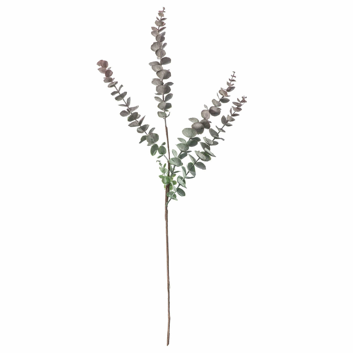 Eucalyptus Spray (6pk) Dusky Damson.