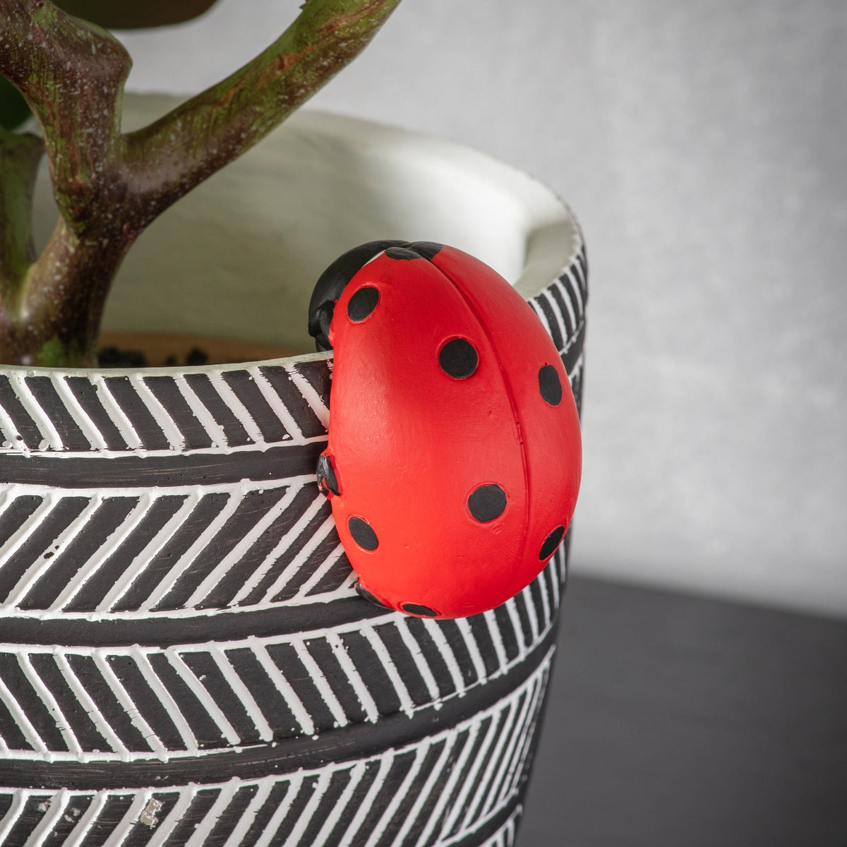 Bodhi Accessories Eve Ladybird Pot Hanger (2pk) House of Isabella UK