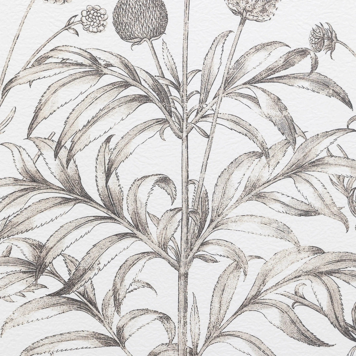 Bodhi Accessories Evergreen Framed Art Set of 3 House of Isabella UK