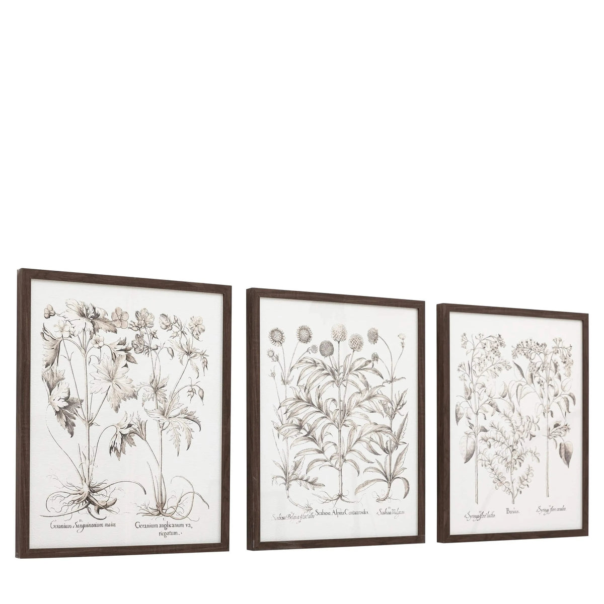Bodhi Accessories Evergreen Framed Art Set of 3 House of Isabella UK
