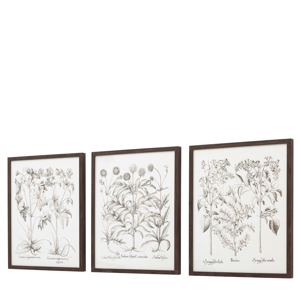 Bodhi Accessories Evergreen Framed Art Set of 3 House of Isabella UK