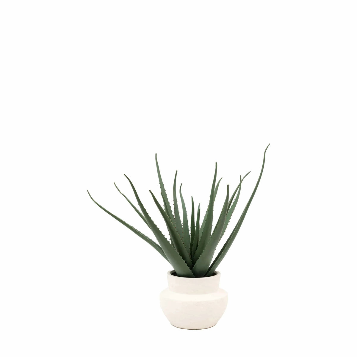 Bodhi Accessories Faux Aloe Vera in Ceramic Pot House of Isabella UK