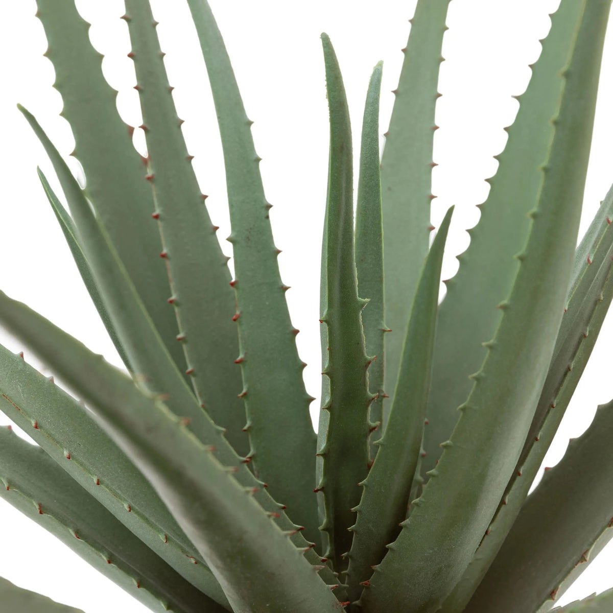 Bodhi Accessories Faux Aloe Vera in Ceramic Pot House of Isabella UK