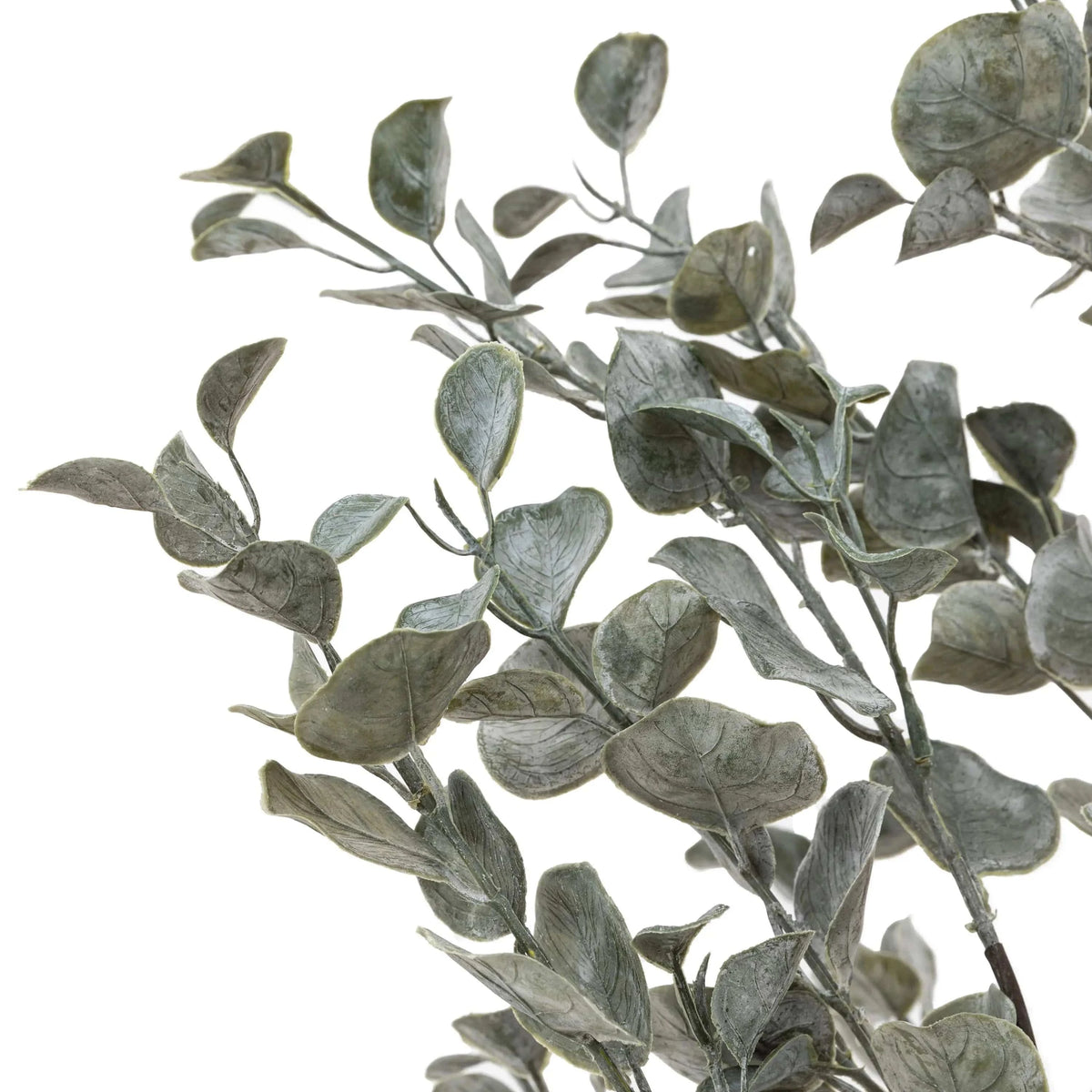 Bodhi Accessories Faux Eucalyptus in Ceramic Pot Ivory House of Isabella UK