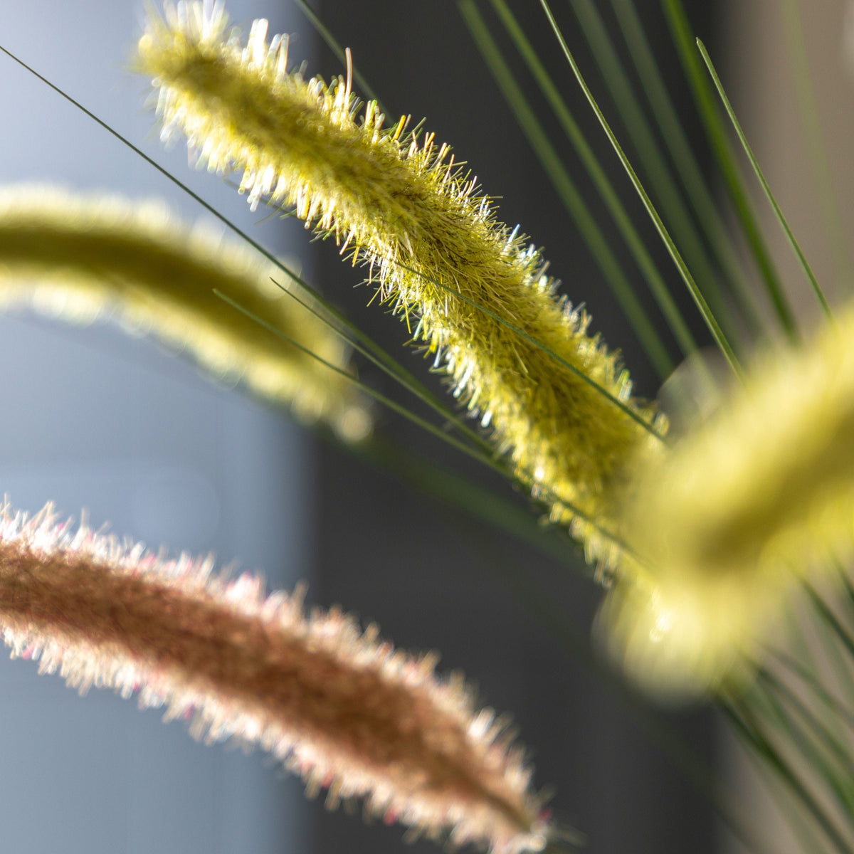 Bodhi Accessories Faux Grass with Seed Heads Green 12pk House of Isabella UK