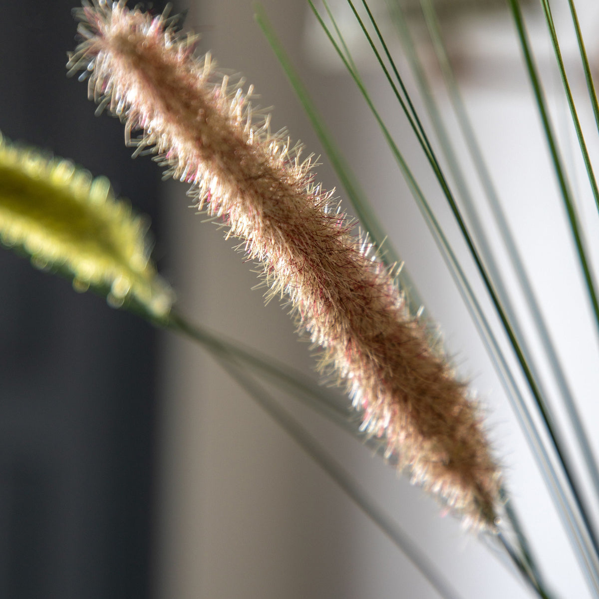 Bodhi Accessories Faux Grass with Seed Heads Natural 12pk House of Isabella UK